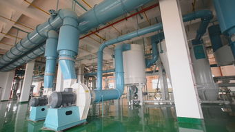 長(zhǎng)城專訪丨蛙牌 為寵物帶去健康，為寵物主人帶來(lái)安心——專訪蛙牌軟件開發(fā)團(tuán)隊(duì)